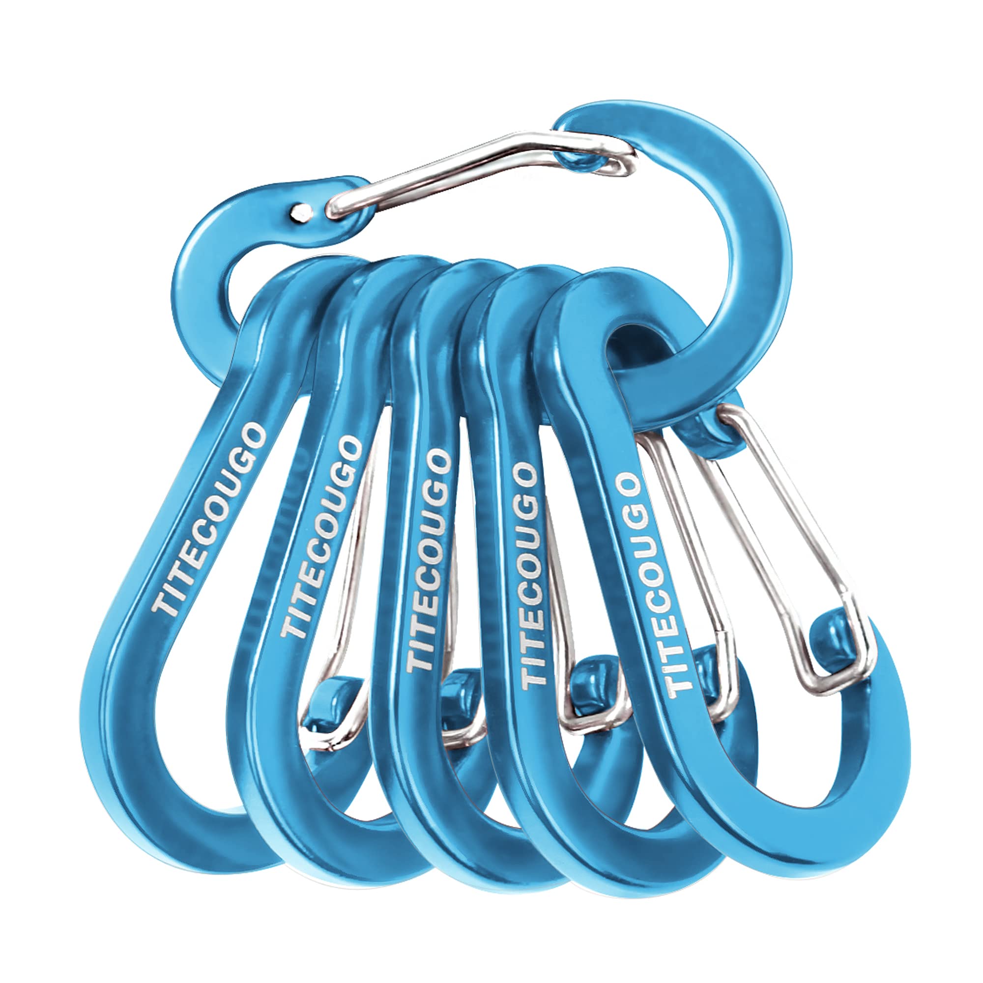 Locking Carabiner 6-Pack