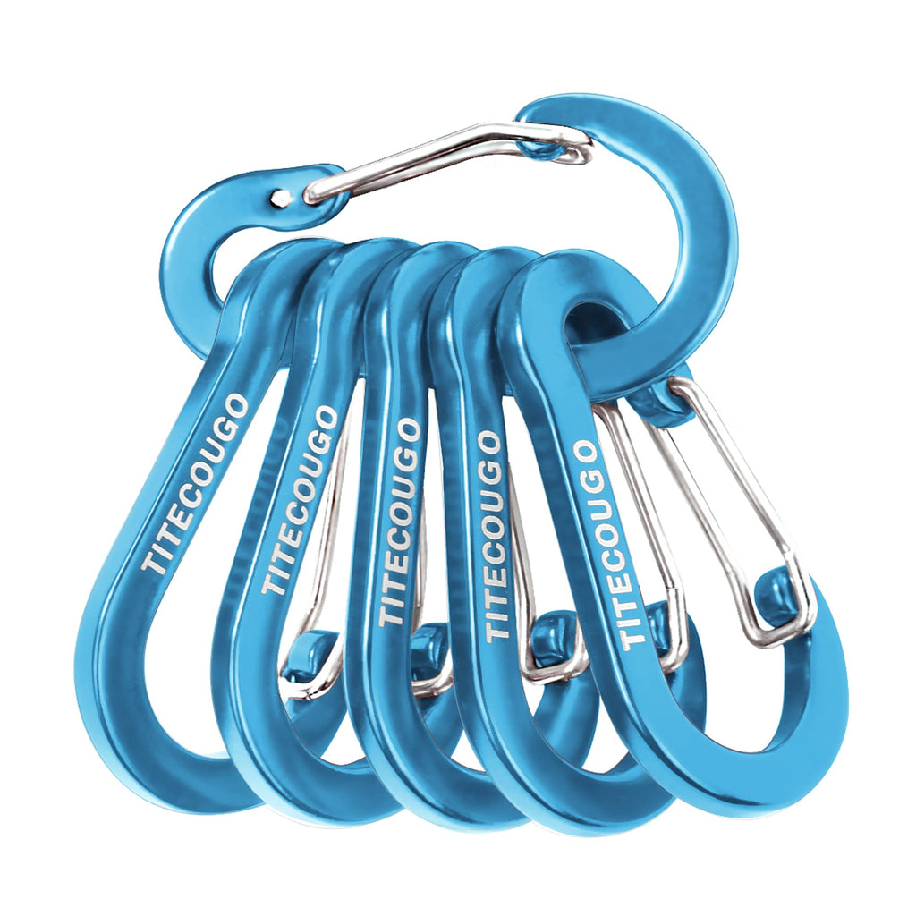 Locking Carabiner 6-Pack
