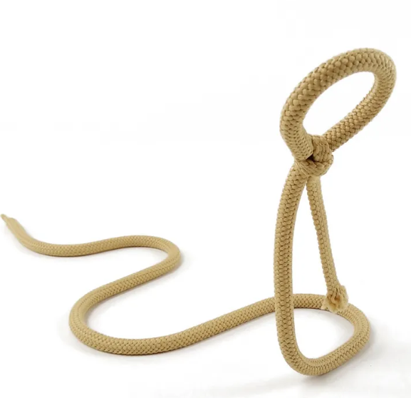 Coiled Serpent Wine Rack